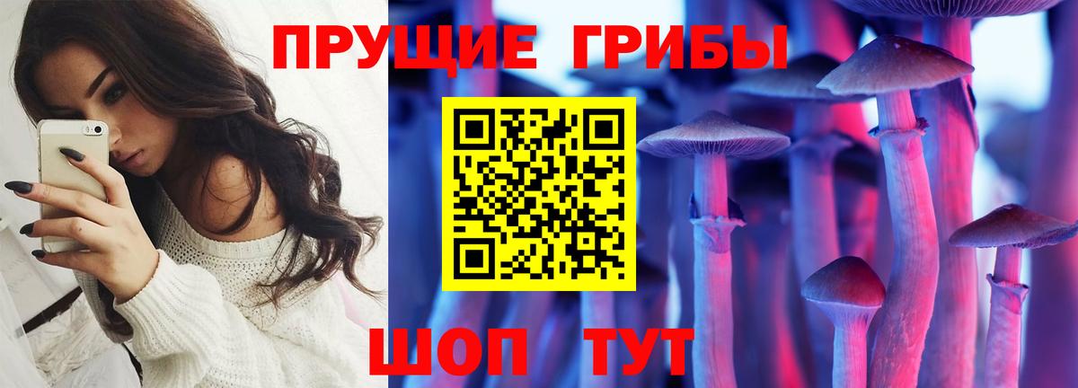 Псилоцибиновые грибы ЛСД Лесосибирск